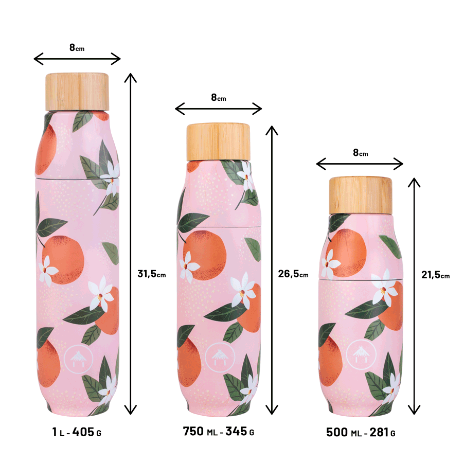 Biwa - Gourde - 500ml