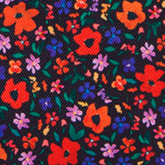 Pochette avant Indiana State Museum